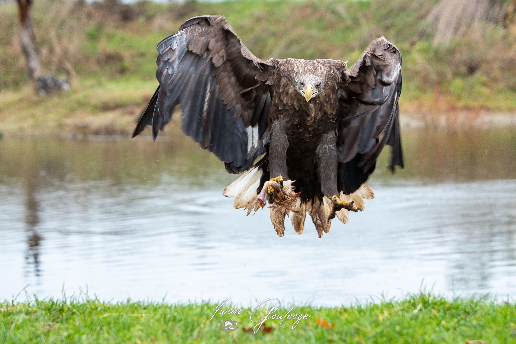 1DX45724 28 november 2021 1429 32